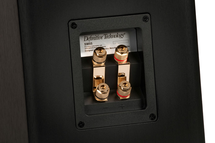 Definitive Technology SM55 rear panel