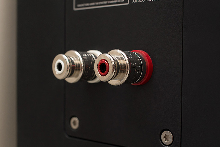 Polymer Audio Research MKS