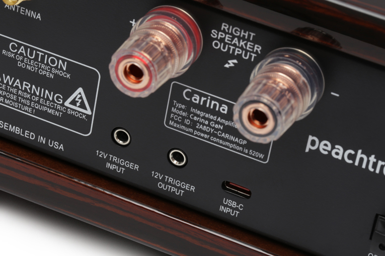 Peachtree Audio Carina GaN