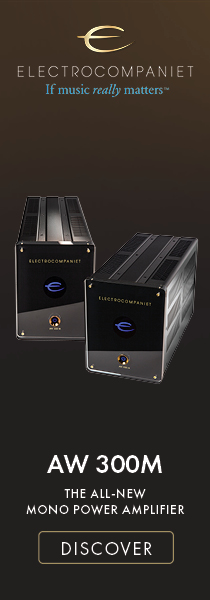  Electrocompaniet - AW300M