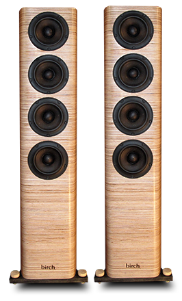 Birch Acoustics Raven