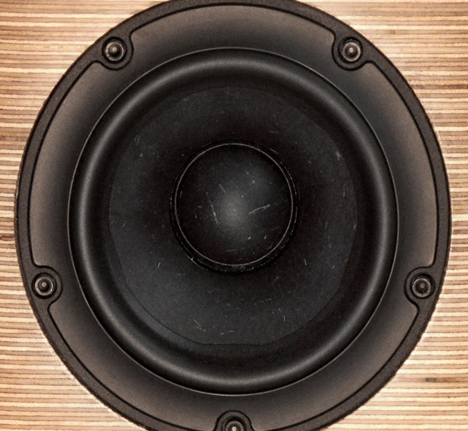 Raven Acoustics Birch