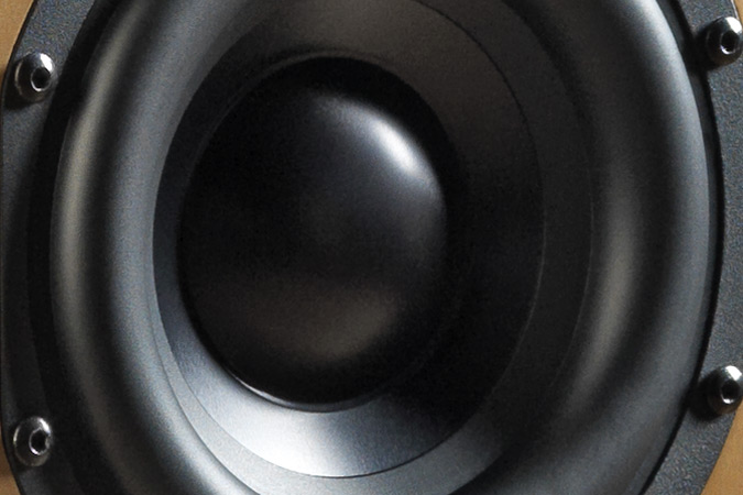 Bryston woofer