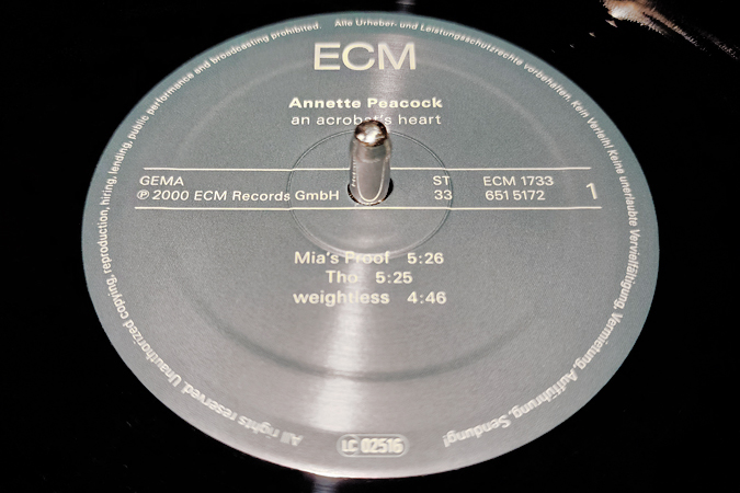 An Acrobat's Heart LP