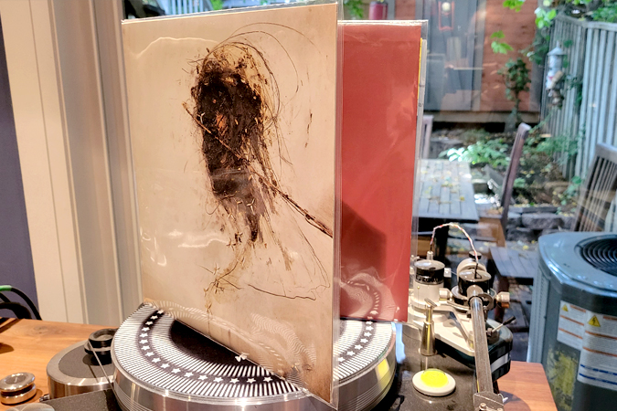 Vinyl Storage Solutions