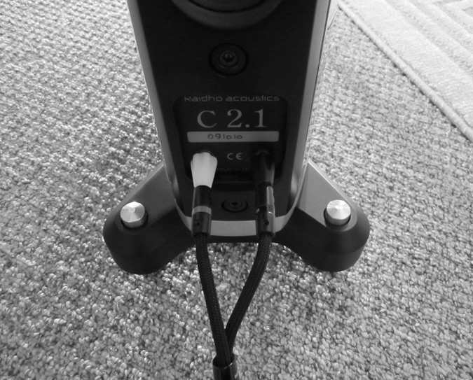 Raidho C2.1 binding posts